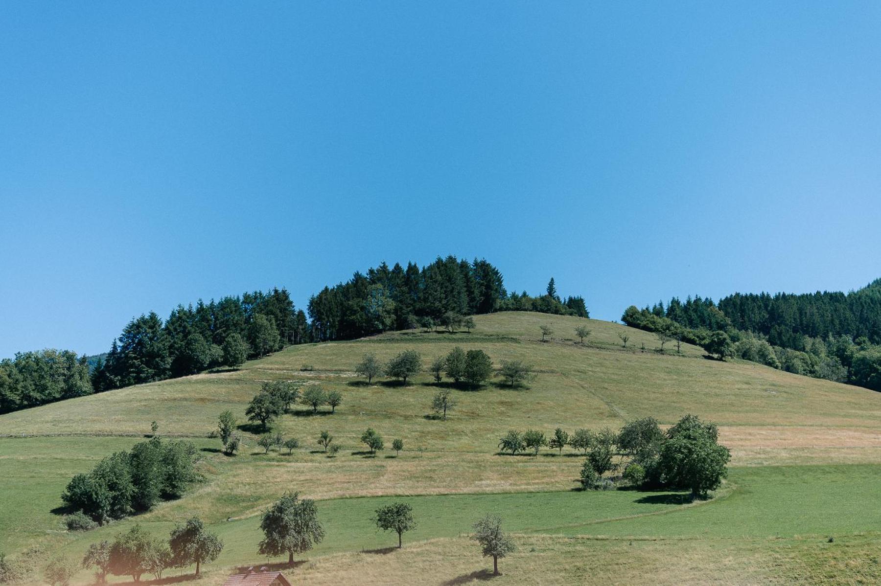 Moderne 2 Zi.-Fewo Blackforest Art Barrierefrei Naehe Freiburg Simonswald Eksteriør bilde